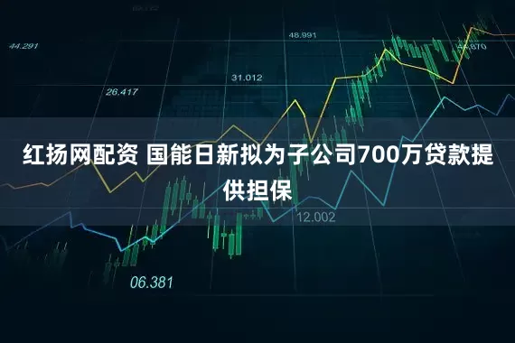 红扬网配资 国能日新拟为子公司700万贷款提供担保