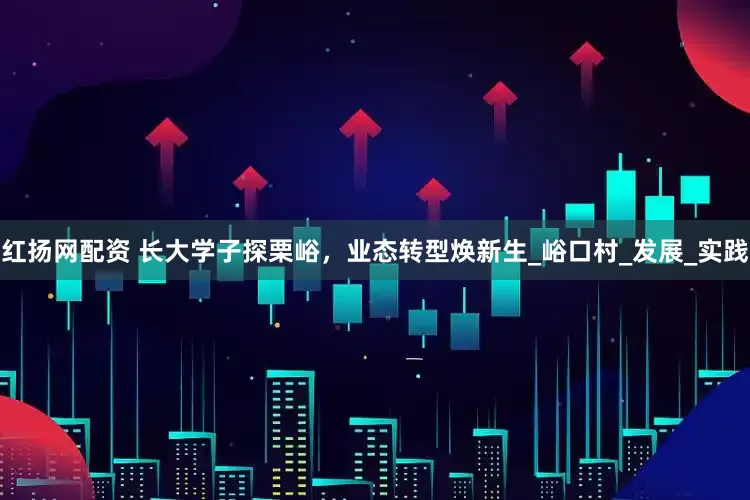红扬网配资 长大学子探栗峪，业态转型焕新生_峪口村_发展_实践