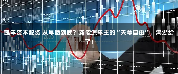 凯丰资本配资 从早晒到晚？新能源车主的“天幕自由”，鸿湖给了！